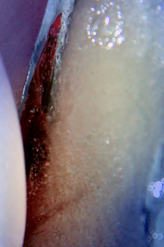 Illustration for article titled Shooting Challenge: Ice, Gallery 2